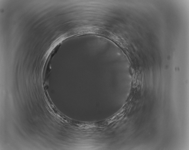 X0000085040099200703191243