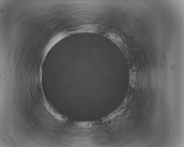 X0000085040100200703191243