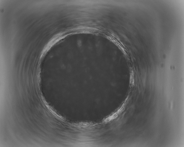 X0000085040101200703191243