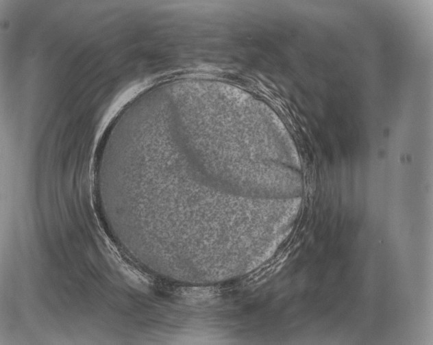 X0000085040102200703191243