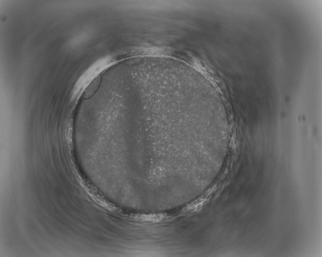 X0000085040103200703191243