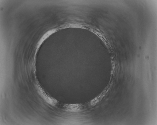 X0000085040104200703191243