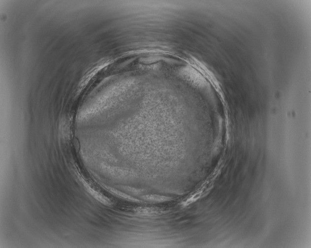 X0000085040105200703191243