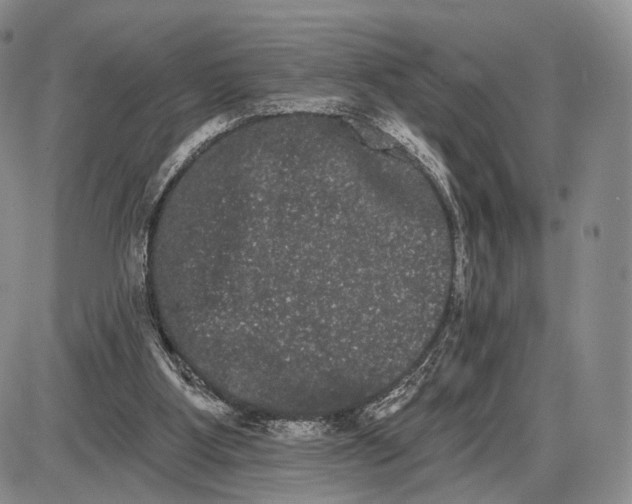 X0000085040107200703191243