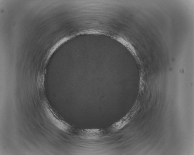 X0000085040108200703191243