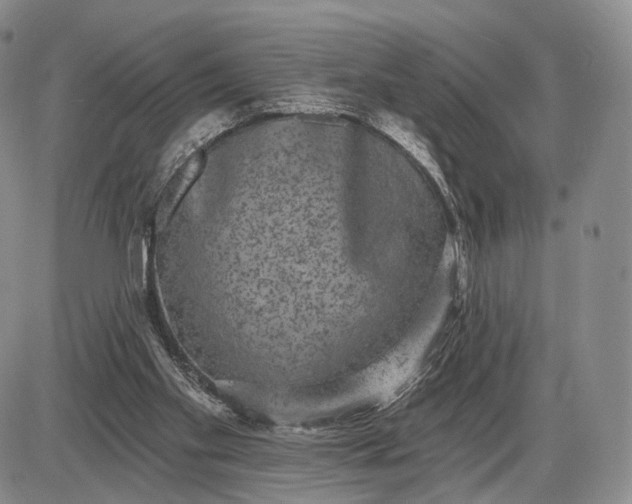 X0000085040109200703191243