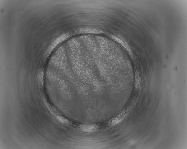 X0000085040111200703191243