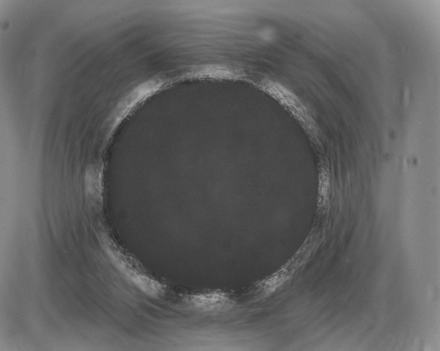 X0000085040112200703191243