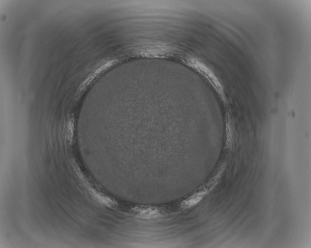 X0000085040113200703191243