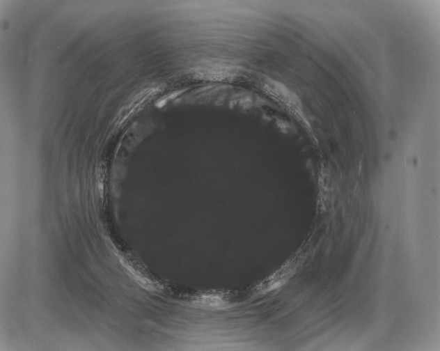 X0000085040114200703191243