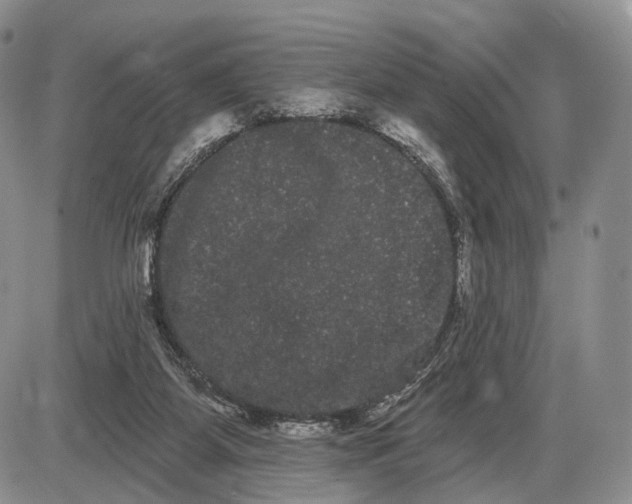 X0000085040115200703191243