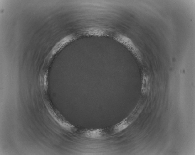 X0000085040116200703191243