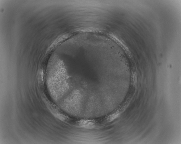 X0000085040117200703191243