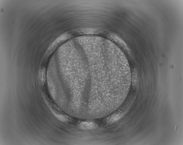 X0000085040119200703191243