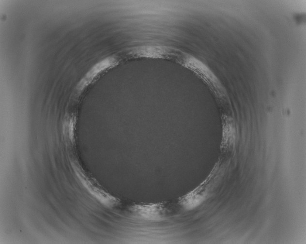 X0000085040120200703191243