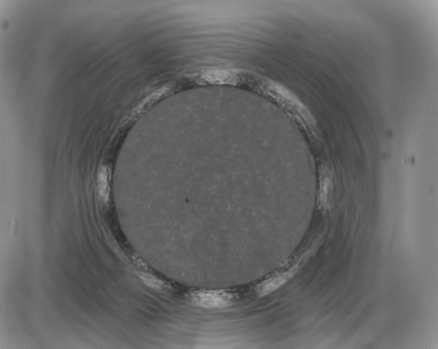 X0000085040121200703191243