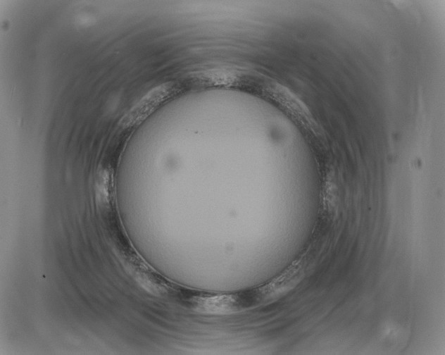 X0000085040122200703191243