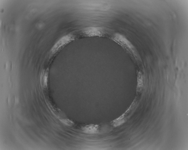 X0000085040124200703191243