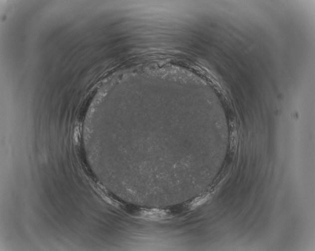 X0000085040125200703191243