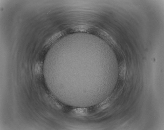 X0000085040126200703191243