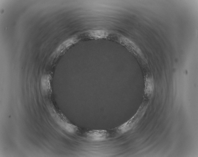 X0000085040128200703191243