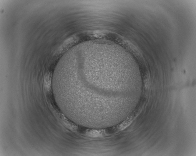 X0000085040129200703191243