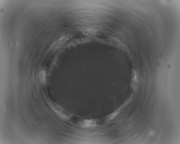 X0000085040130200703191243