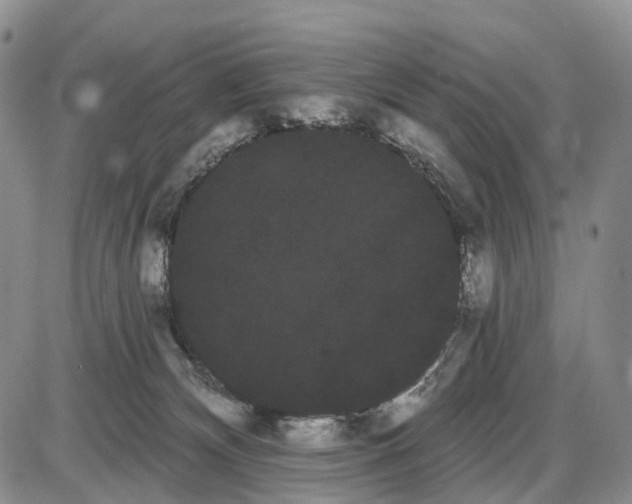 X0000085040132200703191243