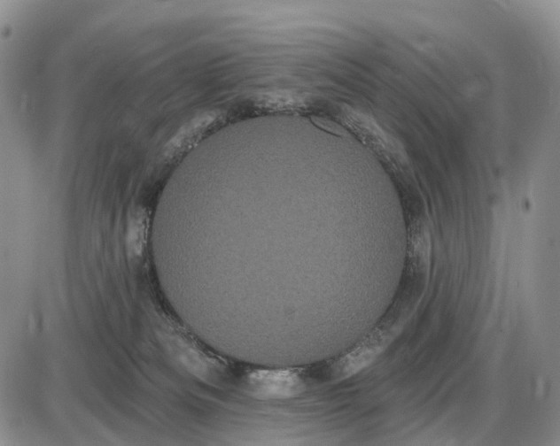 X0000085040133200703191243