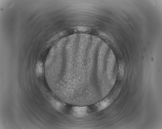 X0000085040135200703191243