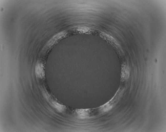 X0000085040136200703191243