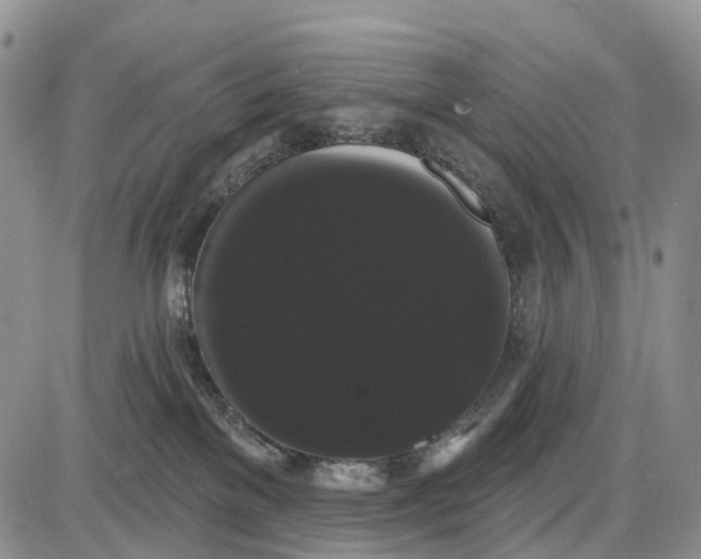 X0000085040137200703191243