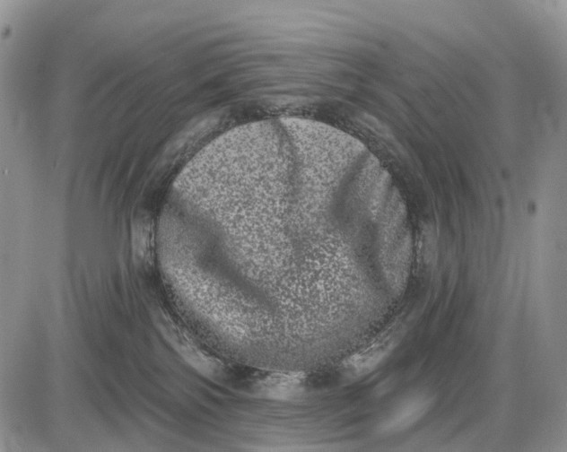 X0000085040138200703191243