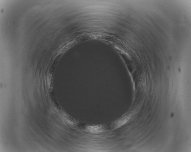 X0000085040139200703191243