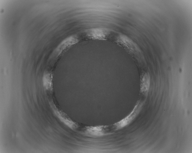 X0000085040140200703191243