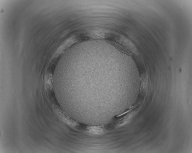 X0000085040141200703191243