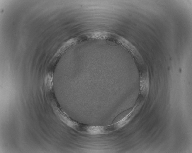 X0000085040142200703191243