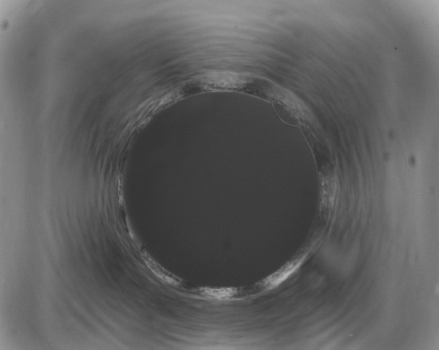 X0000085040143200703191243