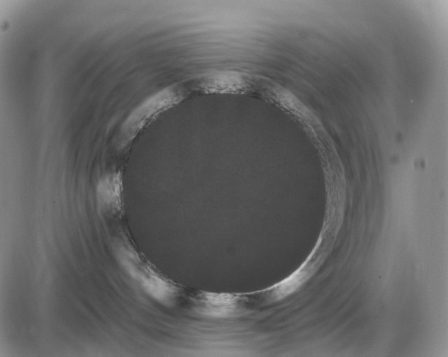 X0000085040144200703191243