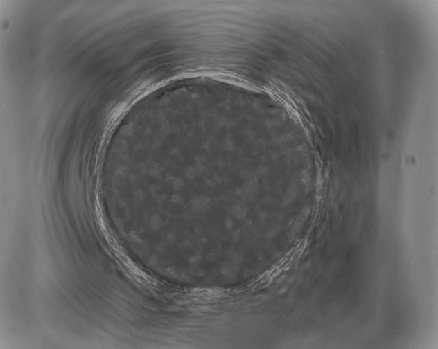 X0000085040145200703191242