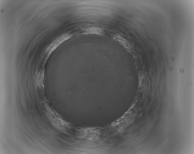 X0000085040146200703191242