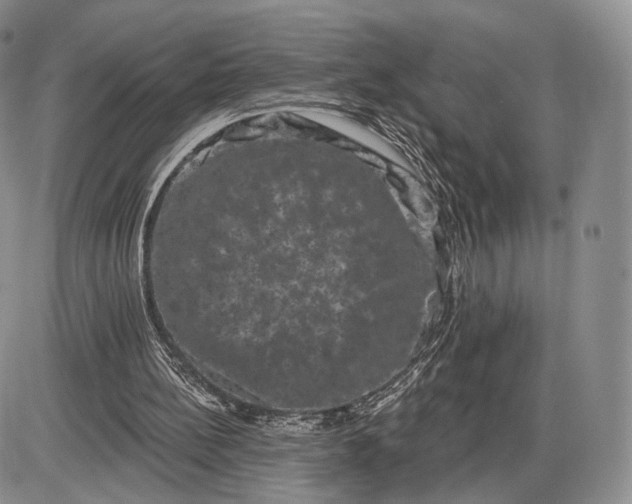 X0000085040148200703191242