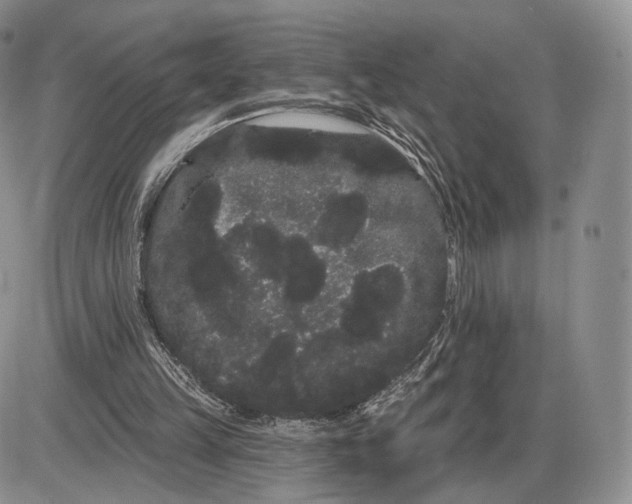 X0000085040149200703191242