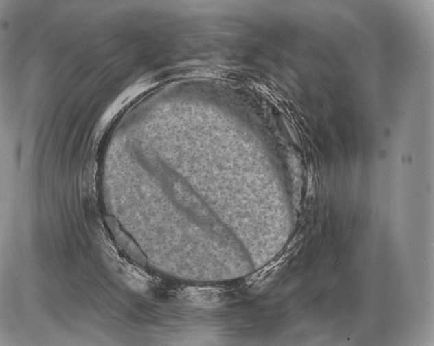 X0000085040150200703191242