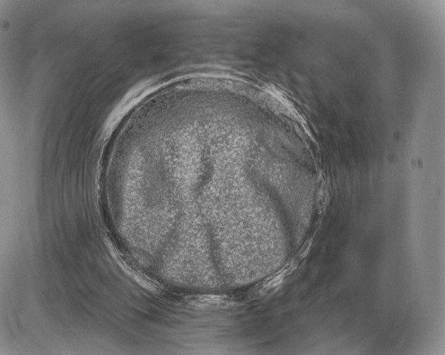 X0000085040151200703191242