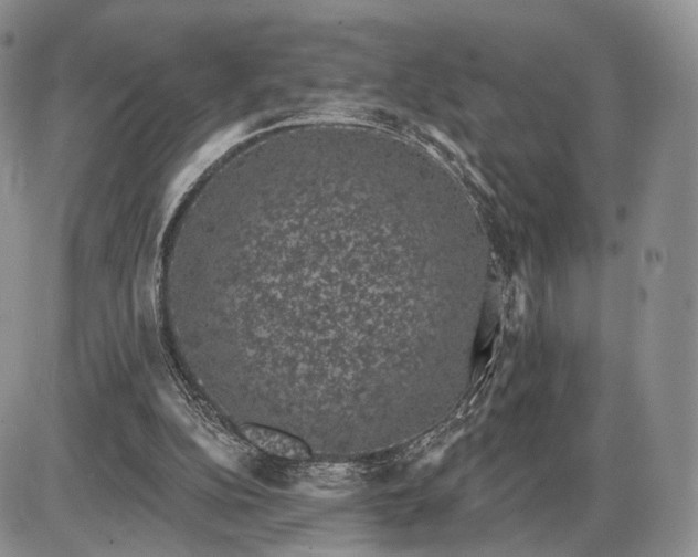 X0000085040152200703191242