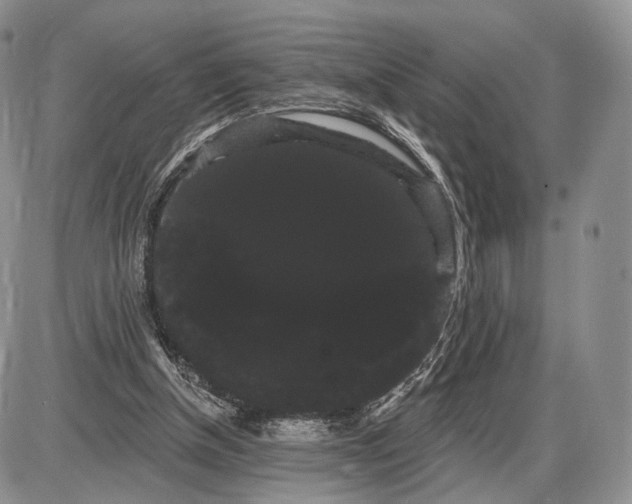 X0000085040154200703191242