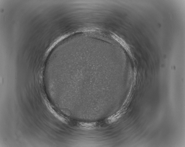 X0000085040155200703191242