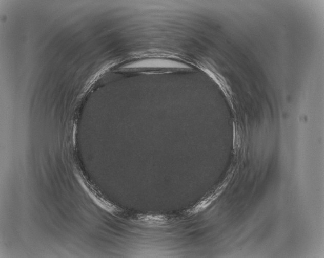 X0000085040157200703191242