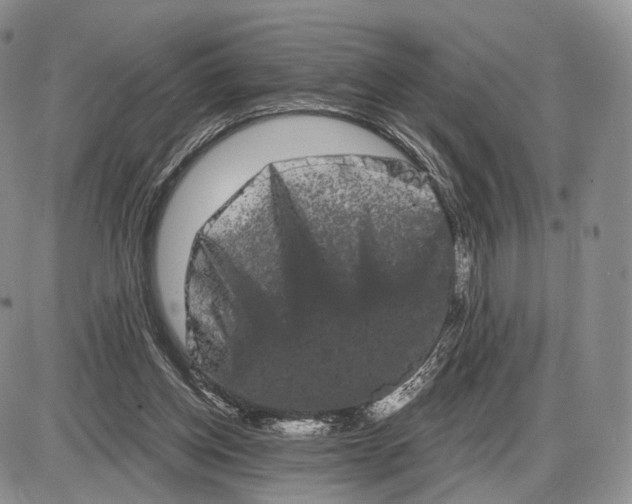 X0000085040158200703191242